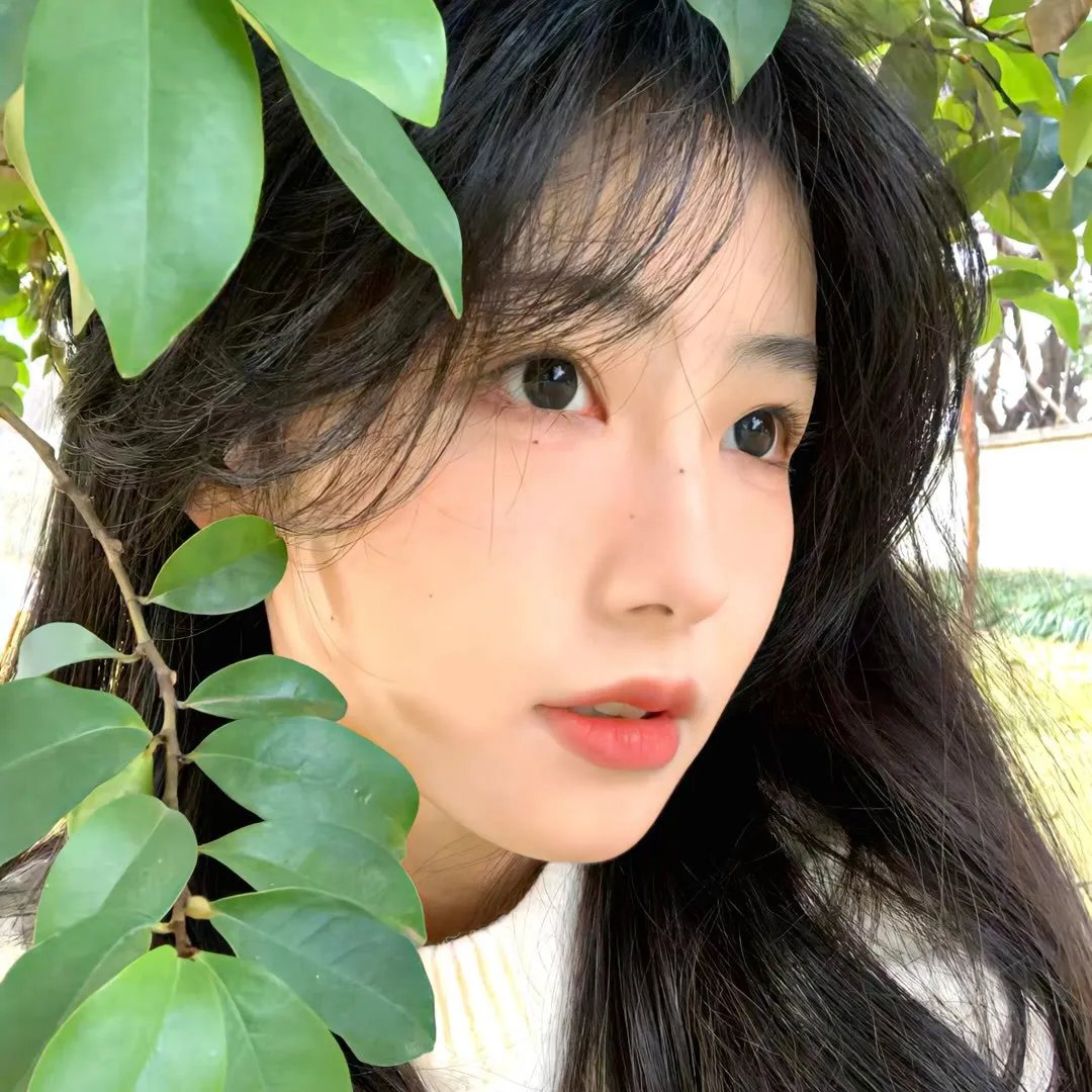 创造物