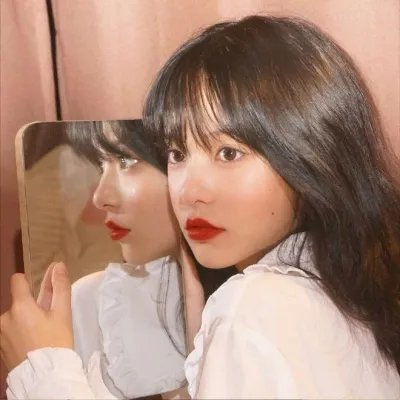 长毛狗